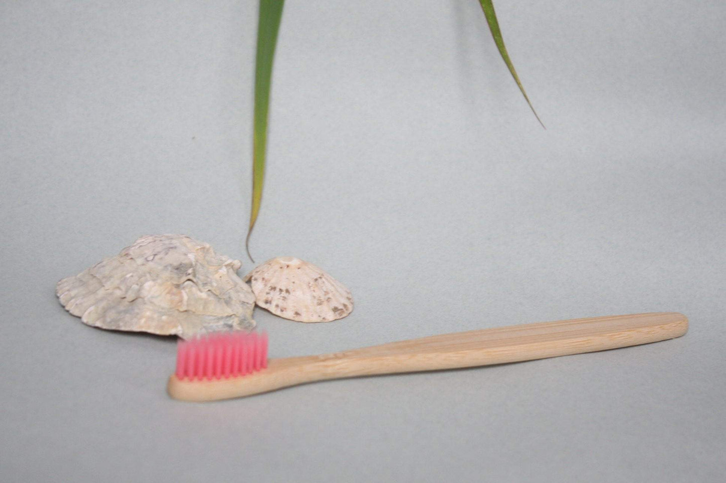 Pink Bamboo Wood Toothbrush - Pro Charcoal